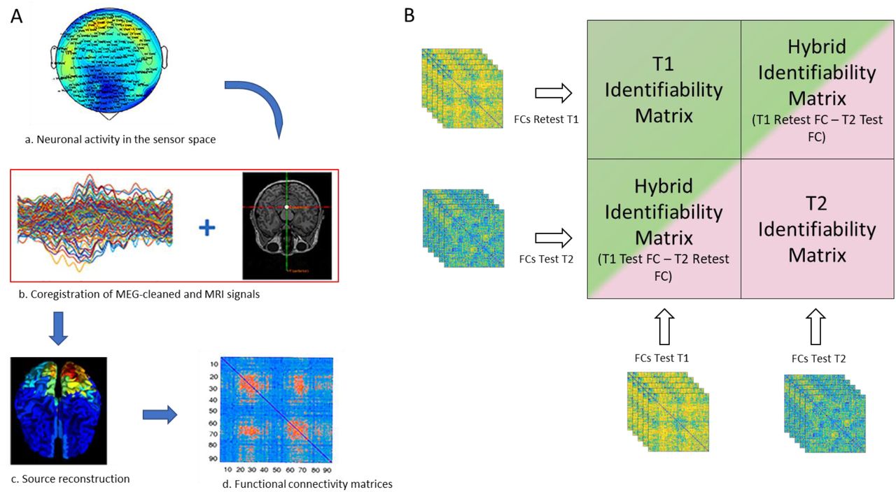 Model schematic. (A) The circadian fingerprint of each Reddit user is