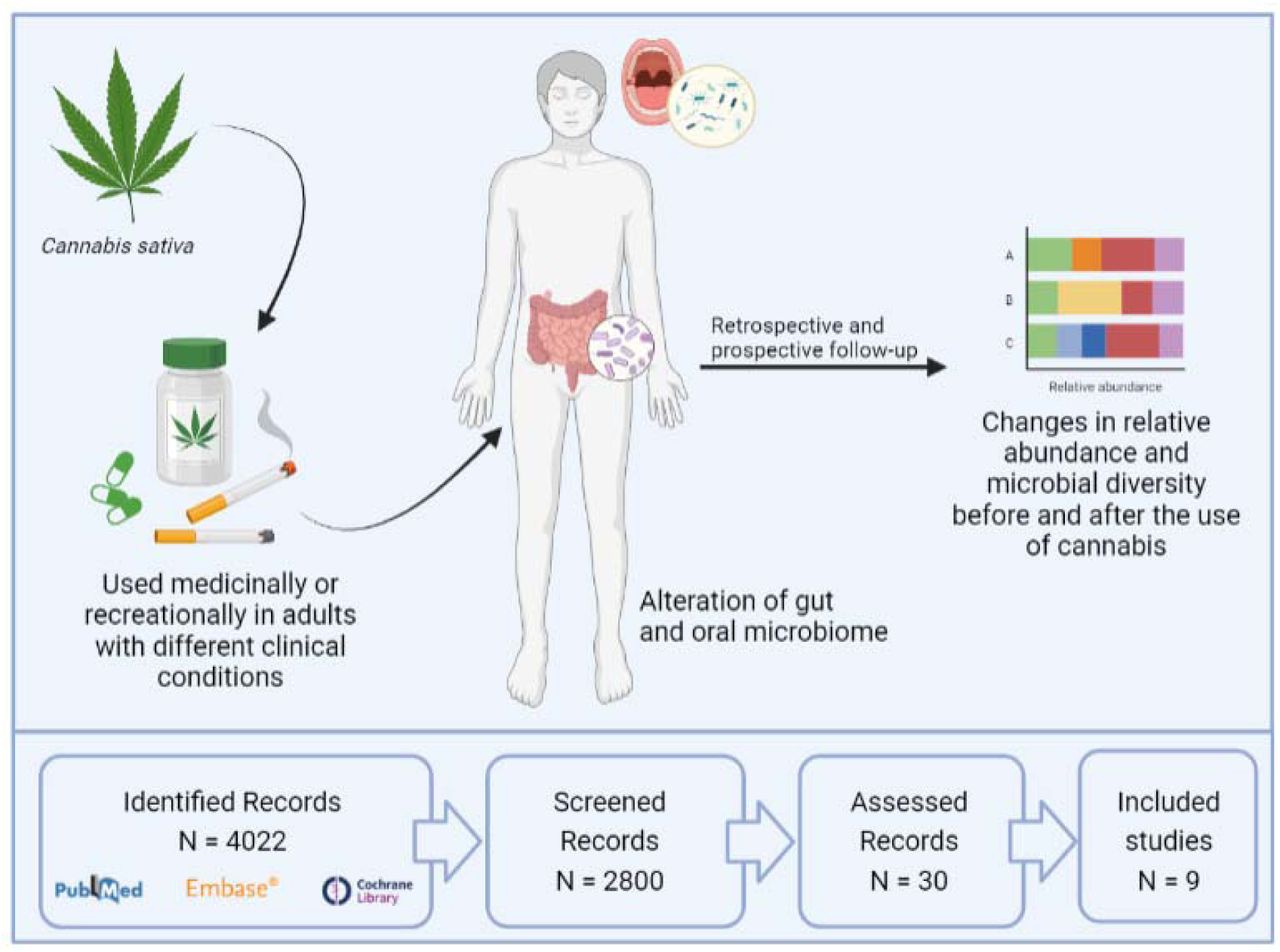 The Healing Power of Cannabis – Scientists Shed New Light on Its  Anti-Inflammatory Effects