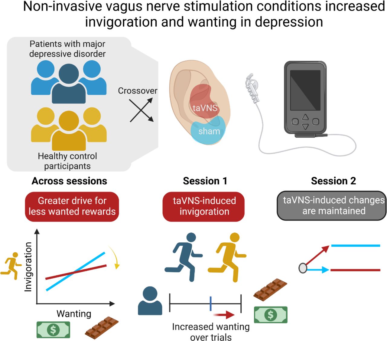 Non-Invasive Vagus Nerve stimulation Devices: Technology