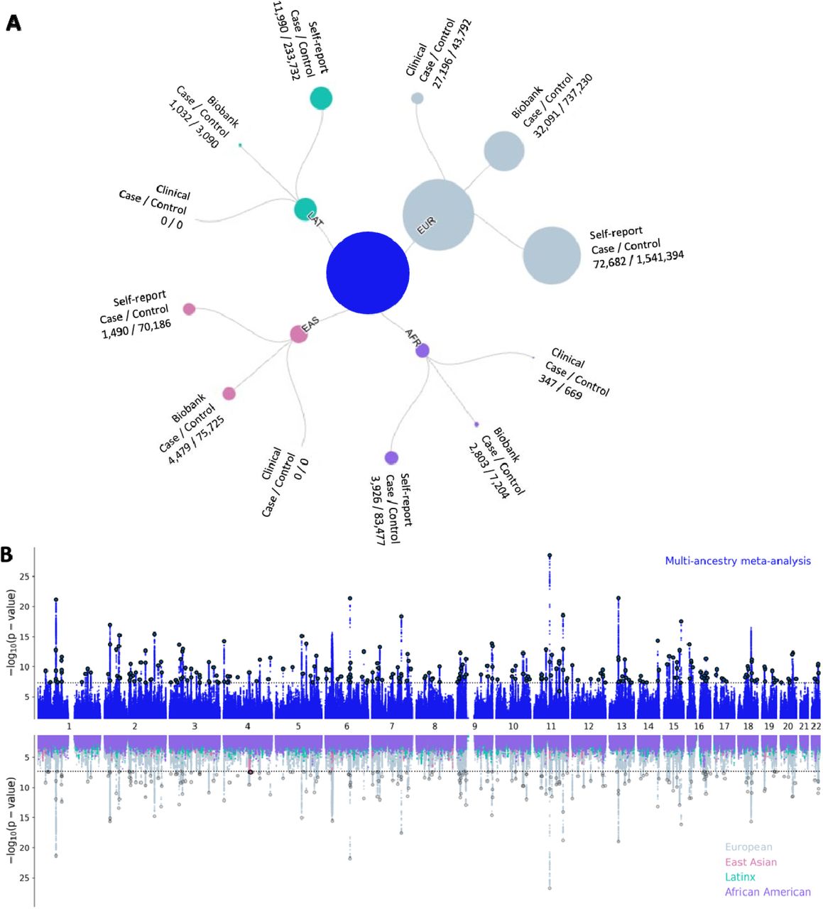 Signatures of natural selection and ethnic-specific prevalence of