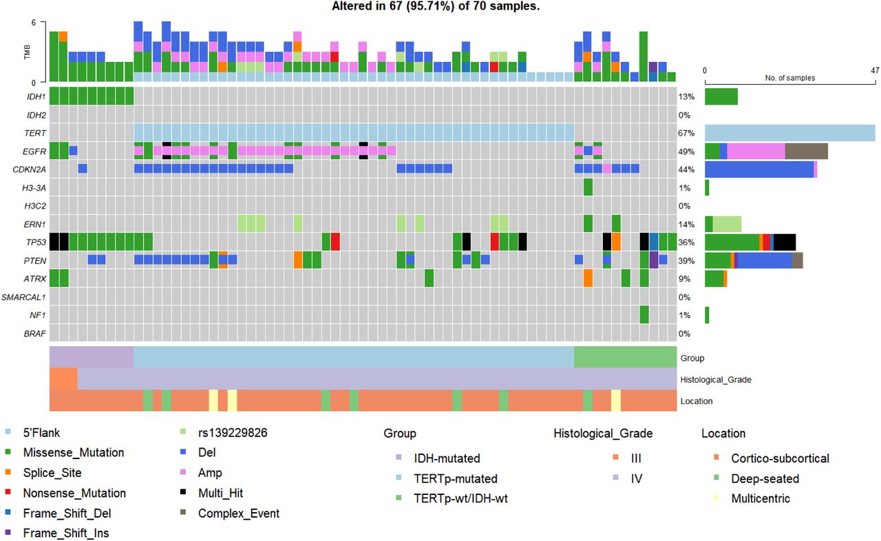 Frontiers  Development of an AmpliSeqTM Panel for Next-Generation  Sequencing of a Set of Genetic Predictors of Persisting Pain